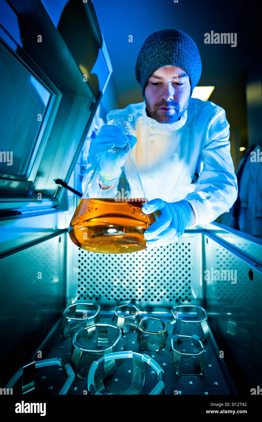 Giovane maschio tecnico scienziato ricercatore o rimuove un grande campione pallone contenente liquido arancione da agitatore Foto Stock