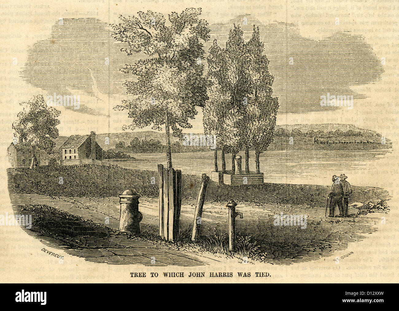Incisione del 1854, Gelso 'albero a cui John Harris era vincolato da The Iroquois. Foto Stock