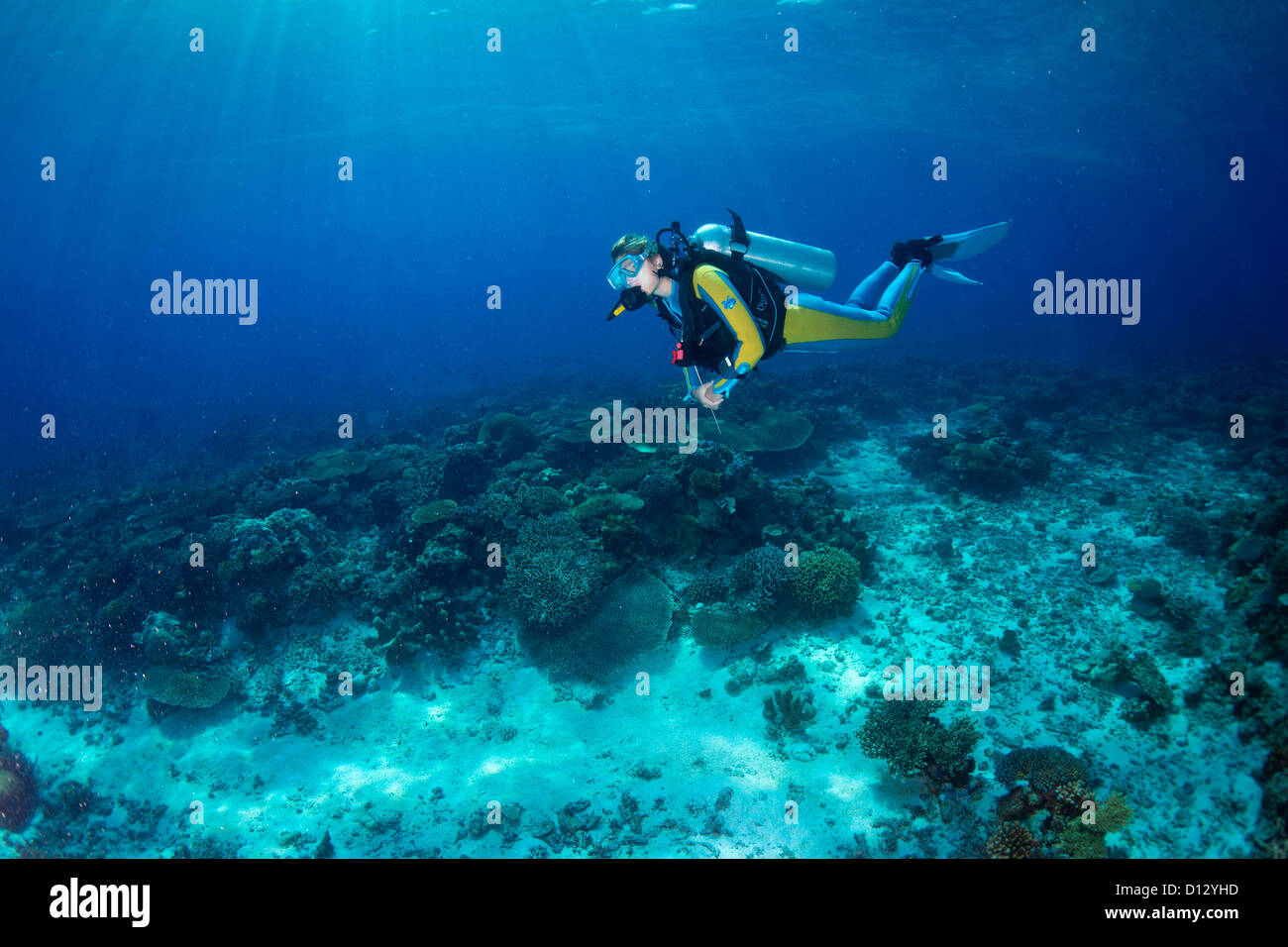 Le immersioni nella barriera corallina, Mimaropa, Mulaong, sul Mare del Sud della Cina, Filippine, Asia Foto Stock
