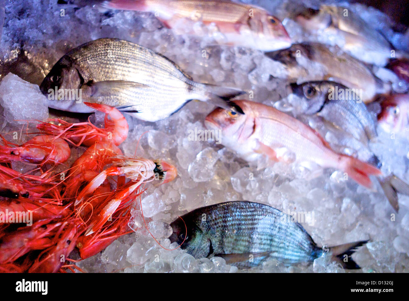 Pesce fresco e gamberi su ghiaccio Foto Stock