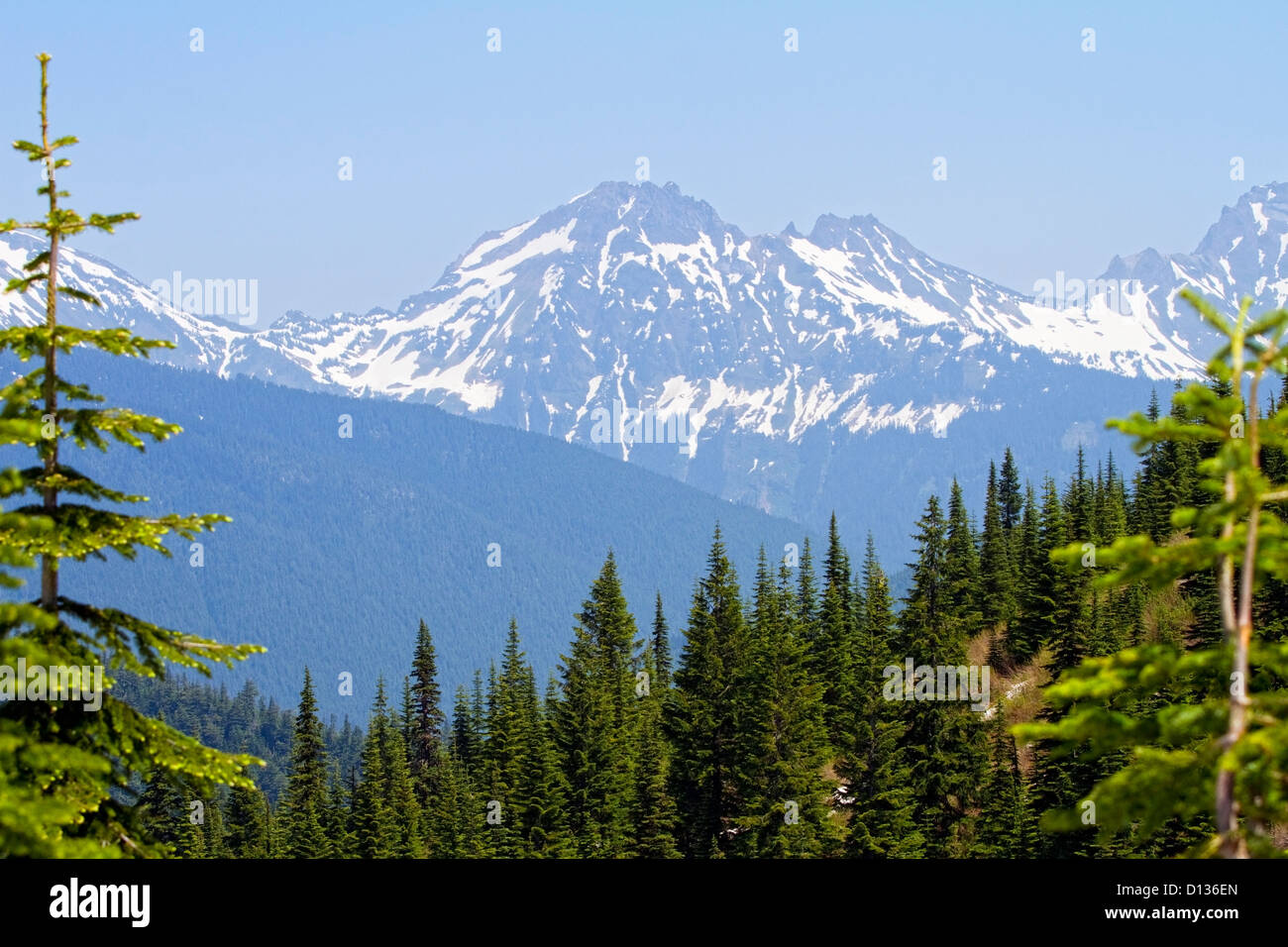 Vista dei picchi di montagna da Elk Thurston escursione in Chiliwack BC,Canada Foto Stock
