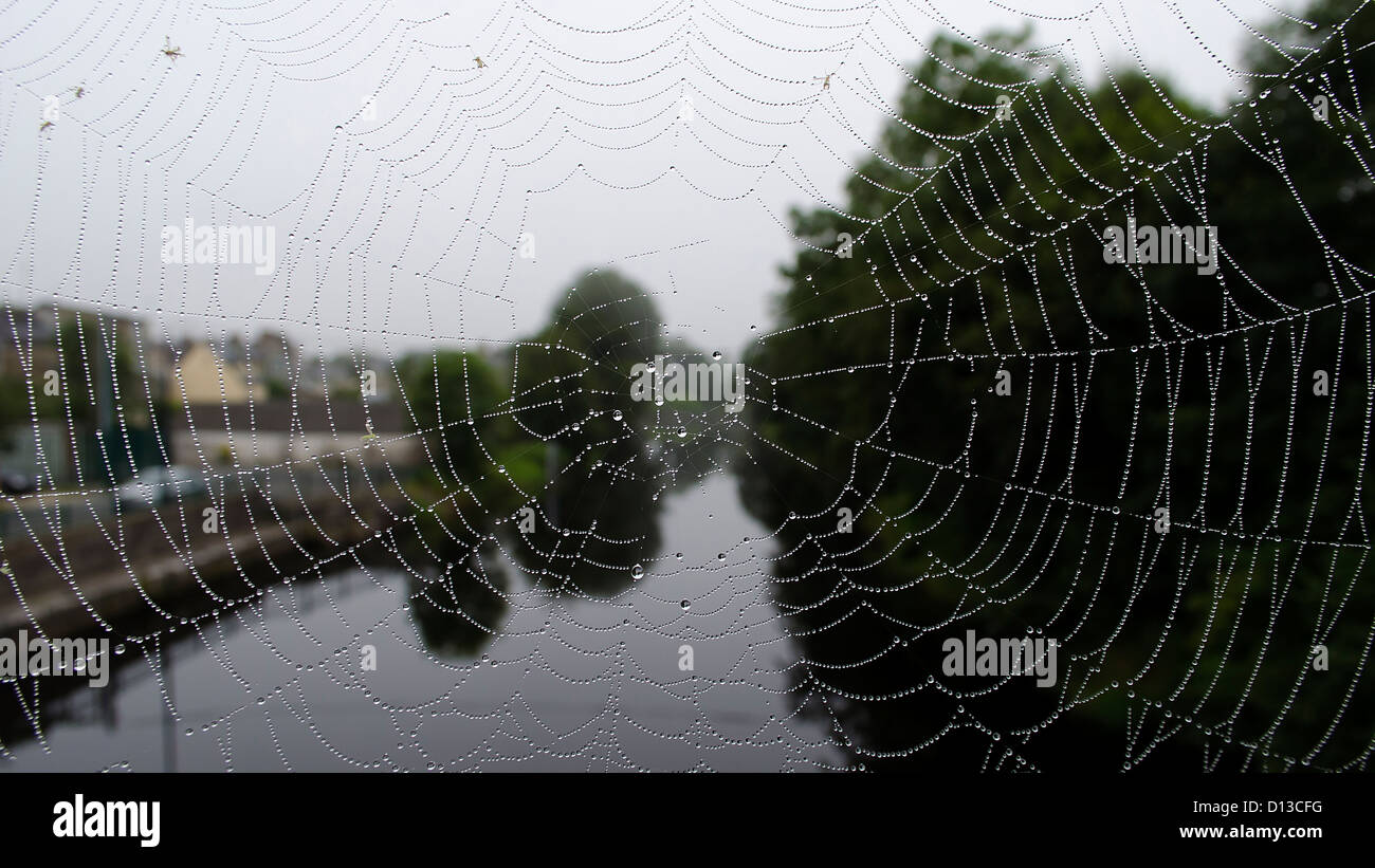 Vista sul fiume attraverso la spider web Foto Stock