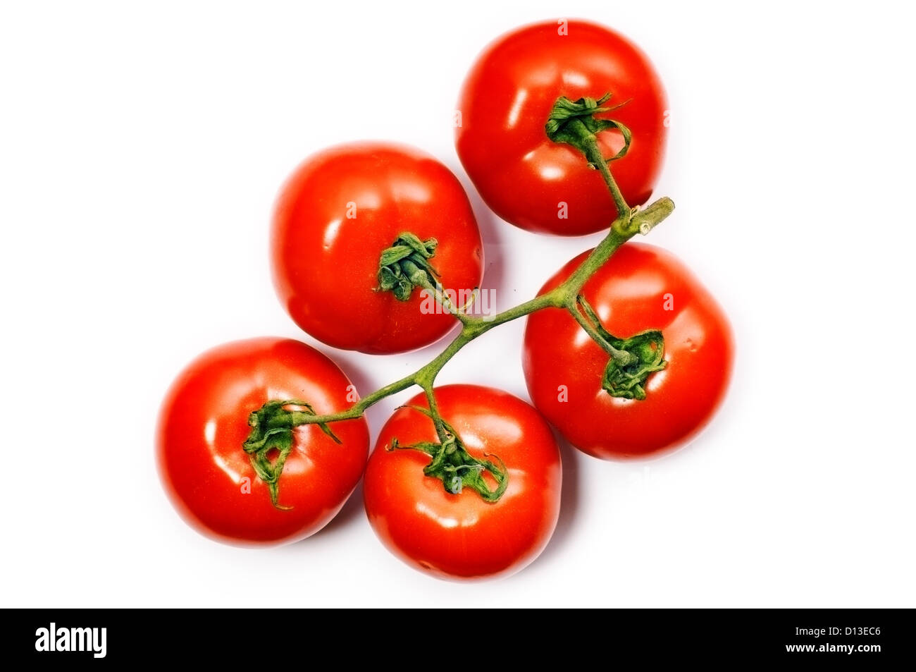 Mazzetto di cinque pomodoro su sfondo bianco Foto Stock