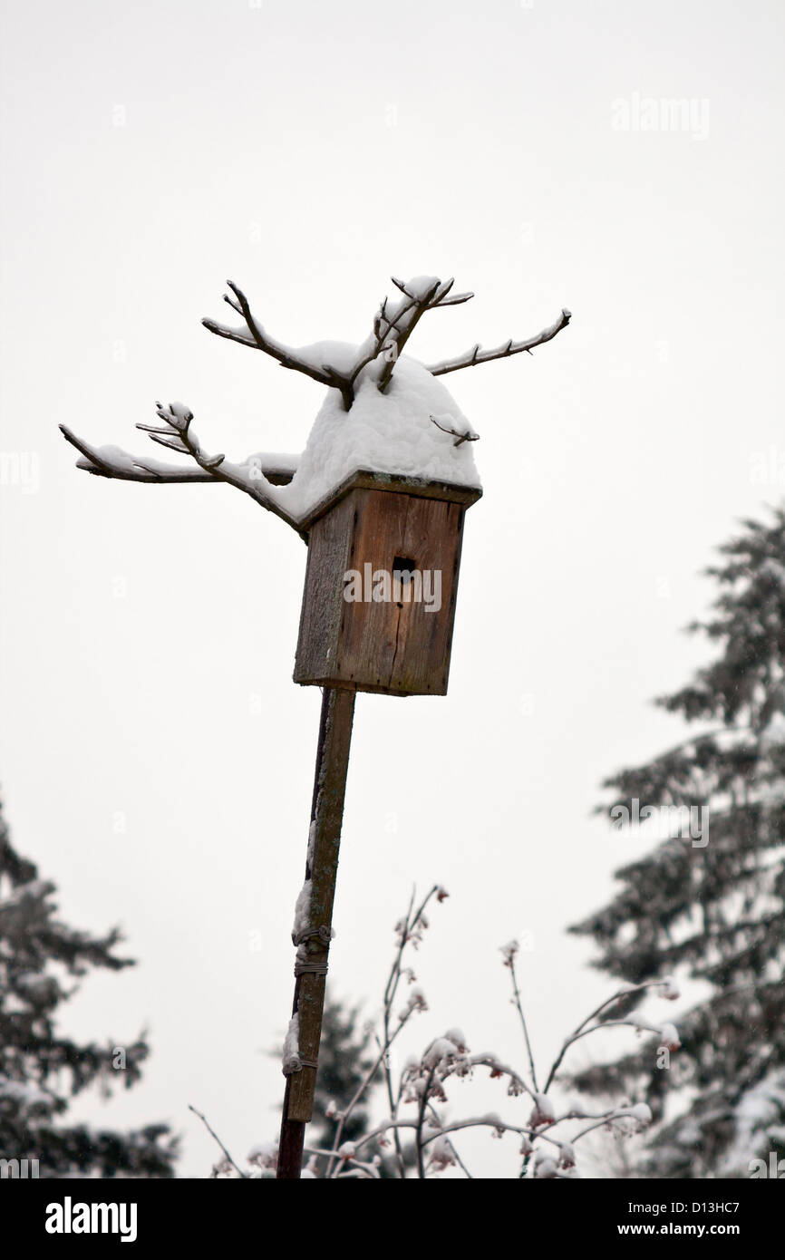 In legno antico birdhouse coperta di neve Foto Stock