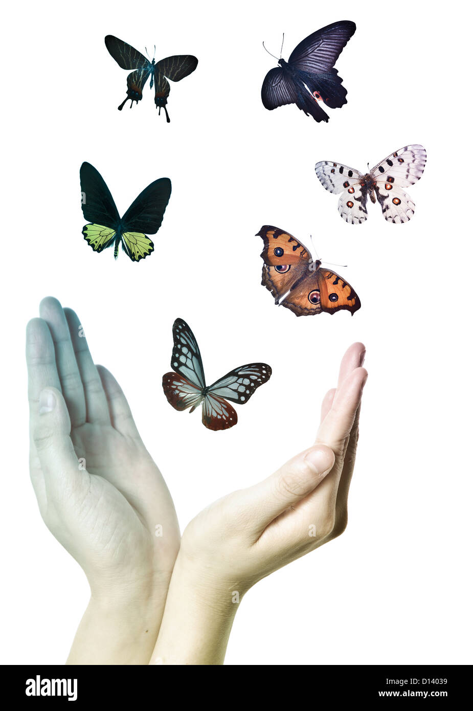 Flying butterfly sul concetto di mano sullo sfondo Foto Stock
