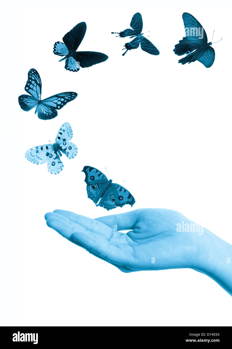 Flying butterfly sul concetto di mano sullo sfondo Foto Stock