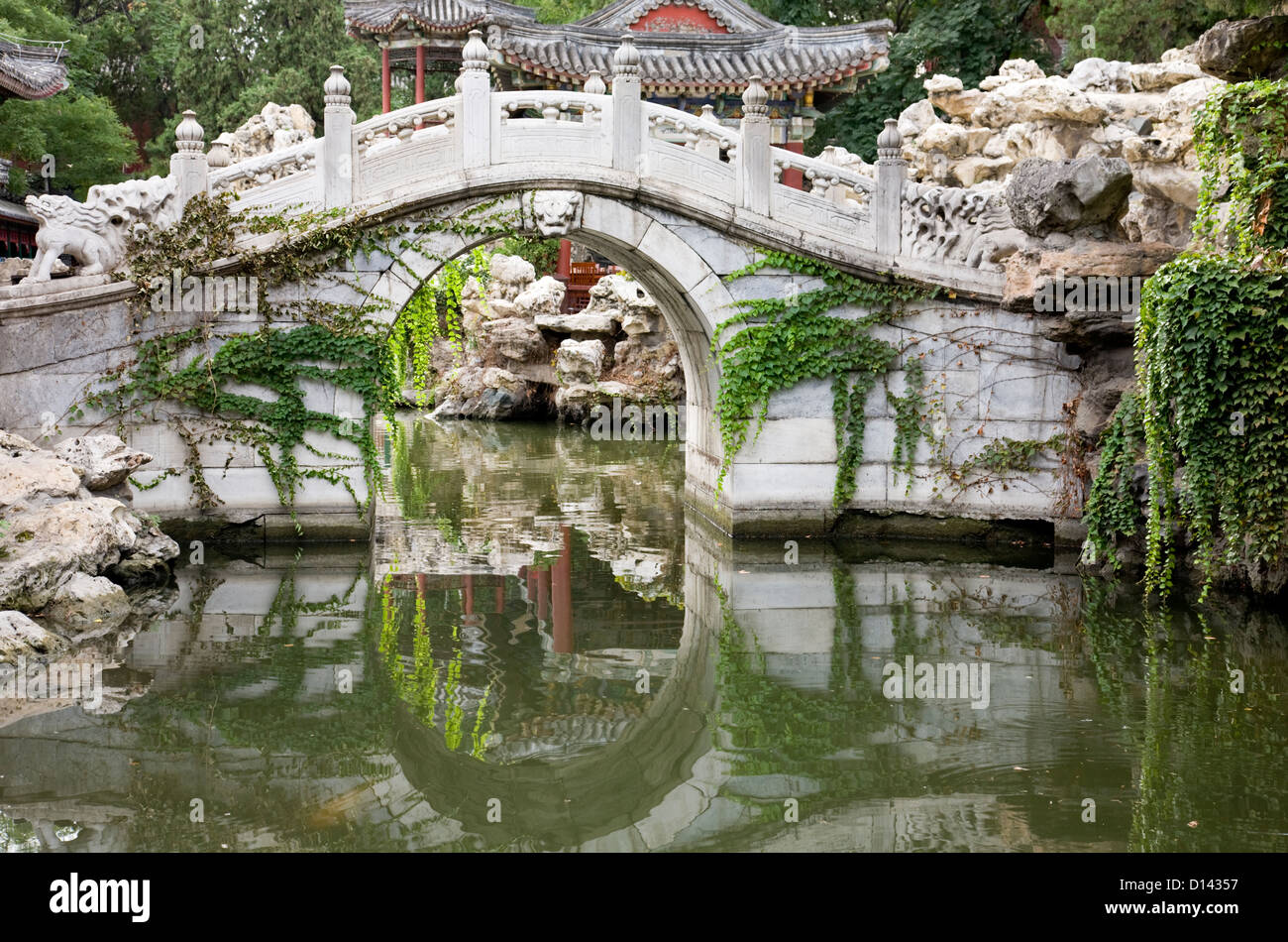 Ponte di arco con la riflessione in giardino cinese. Foto Stock