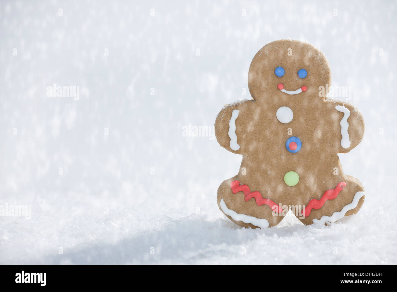 Studio shot di cotto Gingerbread Man Foto Stock