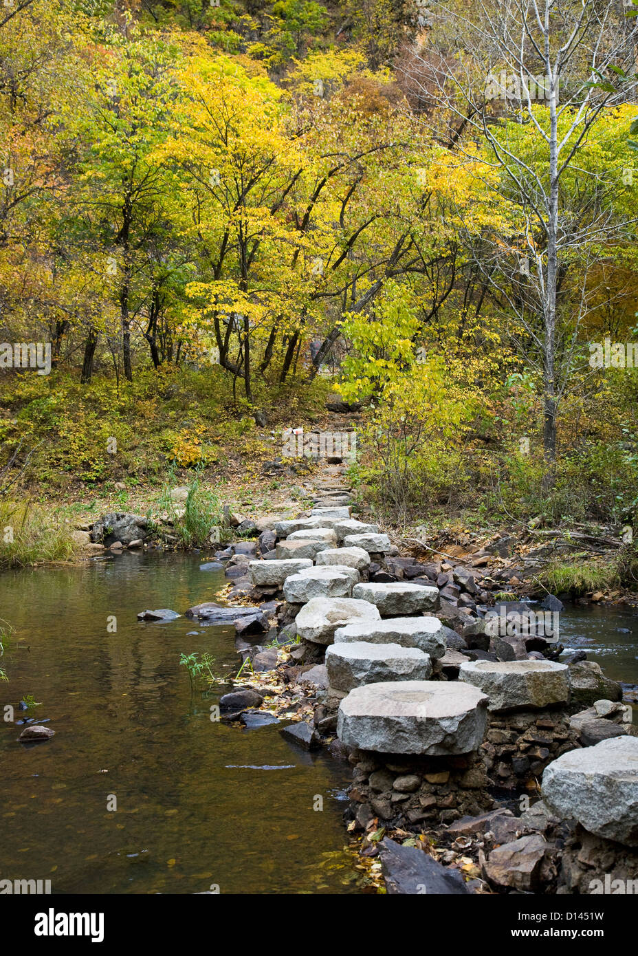 Vista del parco di autunno, pietre miliari su stream Foto Stock