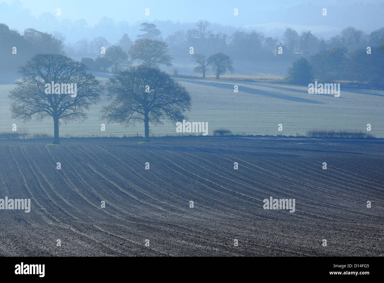 Misty campi nei pressi Newland's Corner, Surrey, Inghilterra Foto Stock