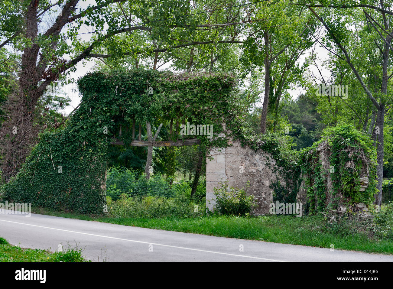 Il vecchio muro di pietra con garden gate ricoperto di vegetazione Foto Stock