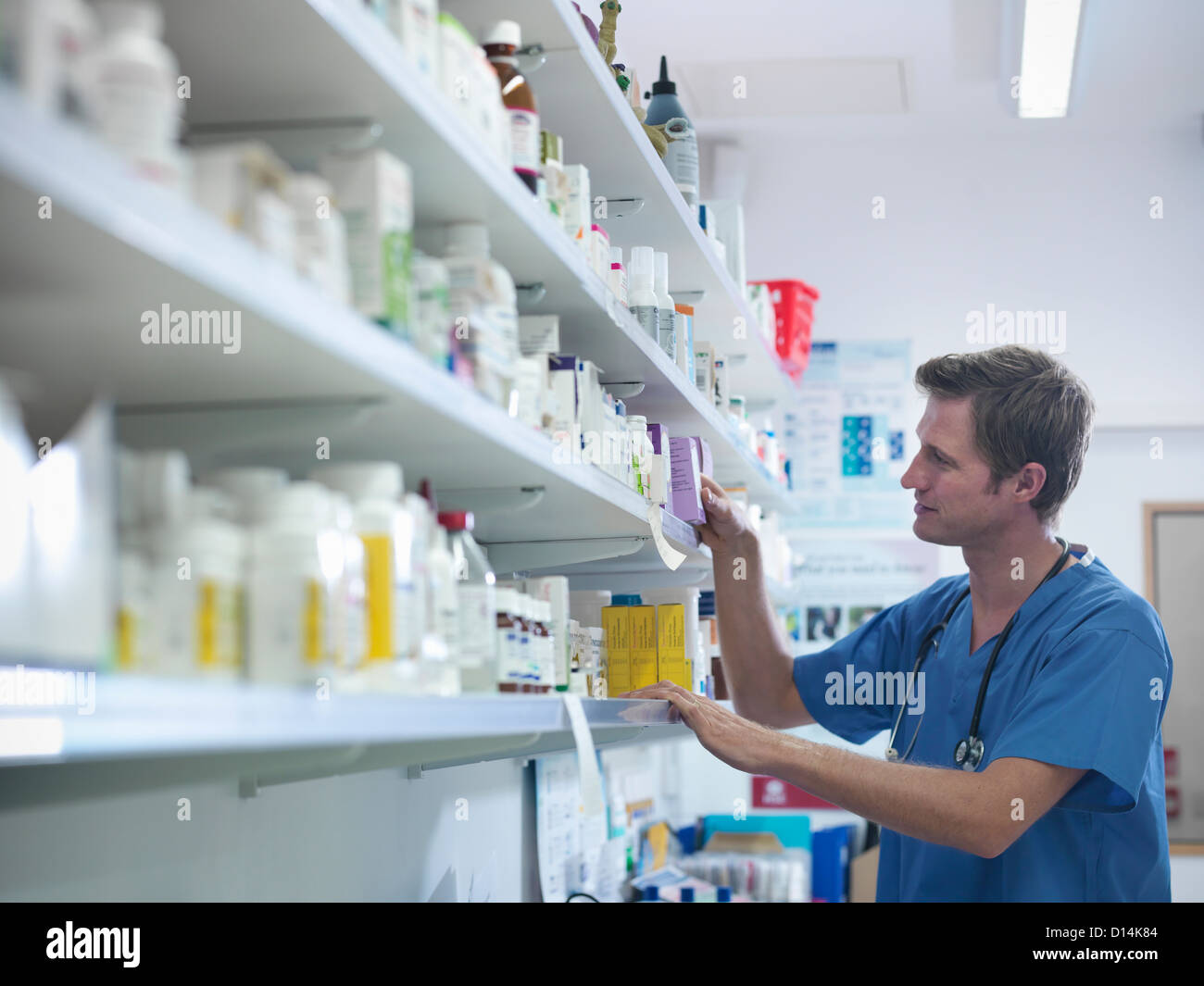 Veterinario la ricerca per la medicina Foto Stock