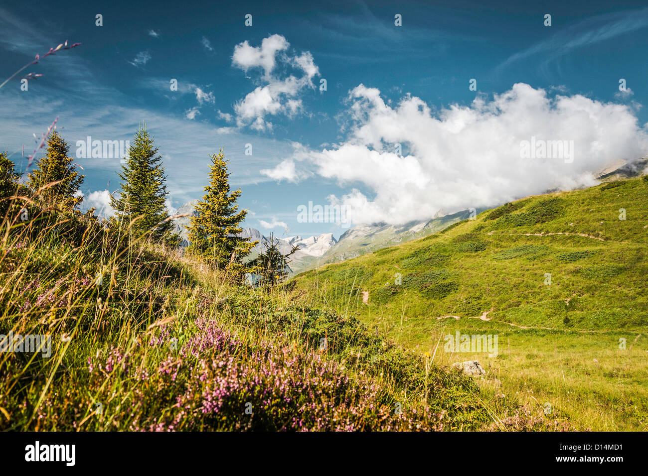 Nuvole sopra erbosi pendii rurale Foto Stock