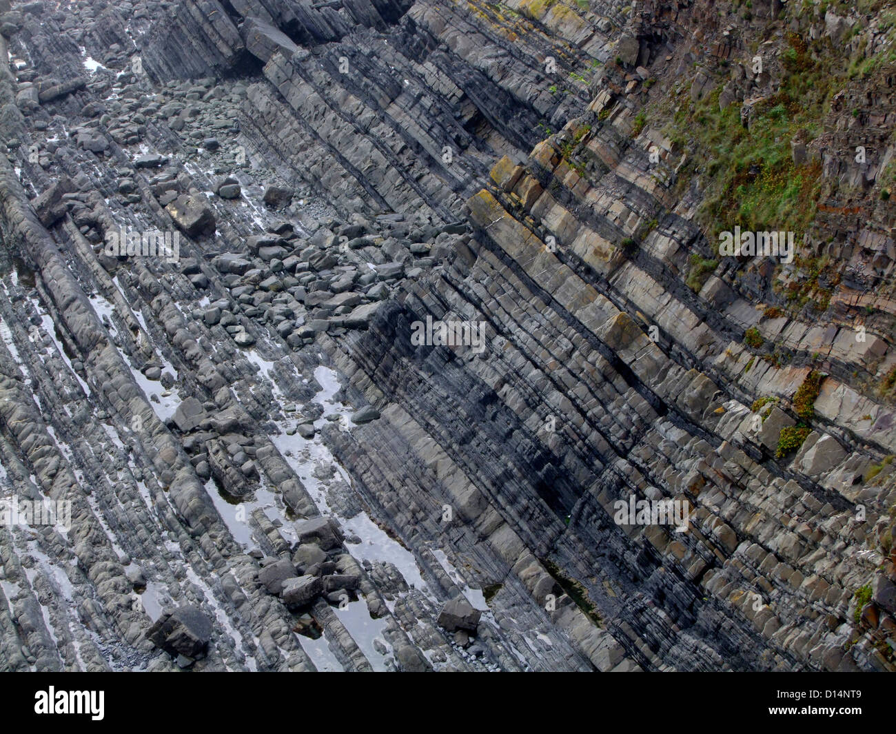 Una vista delle rocce e geologia a Hartland Quay Devon UK Foto Stock