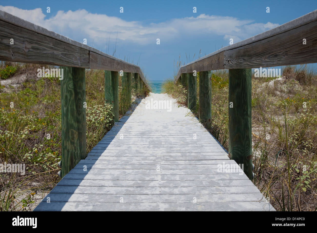 Stati Uniti d'America, Florida, San Pietroburgo, sentiero sulla spiaggia Foto Stock