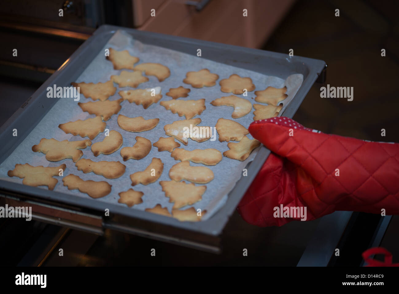 Bambino la mano si prepara biscotti di Natale dal forno Foto Stock