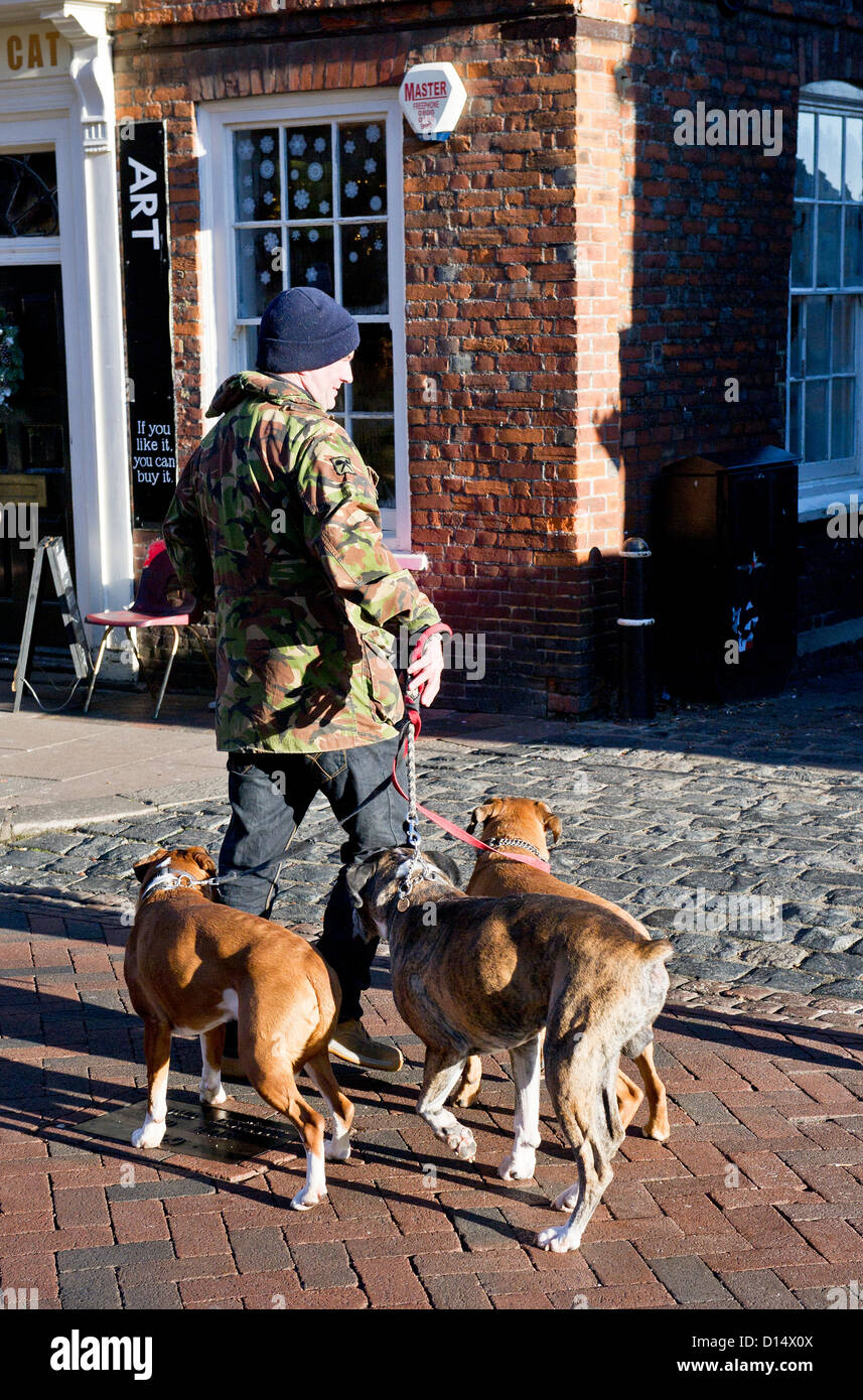 Un uomo con tre cani. Foto Stock