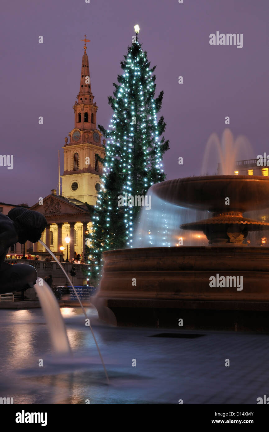 Albero di natale in Trafalgar Square, Londra, al tramonto, con fontane e St Martin-In-la chiesa Fiields Foto Stock