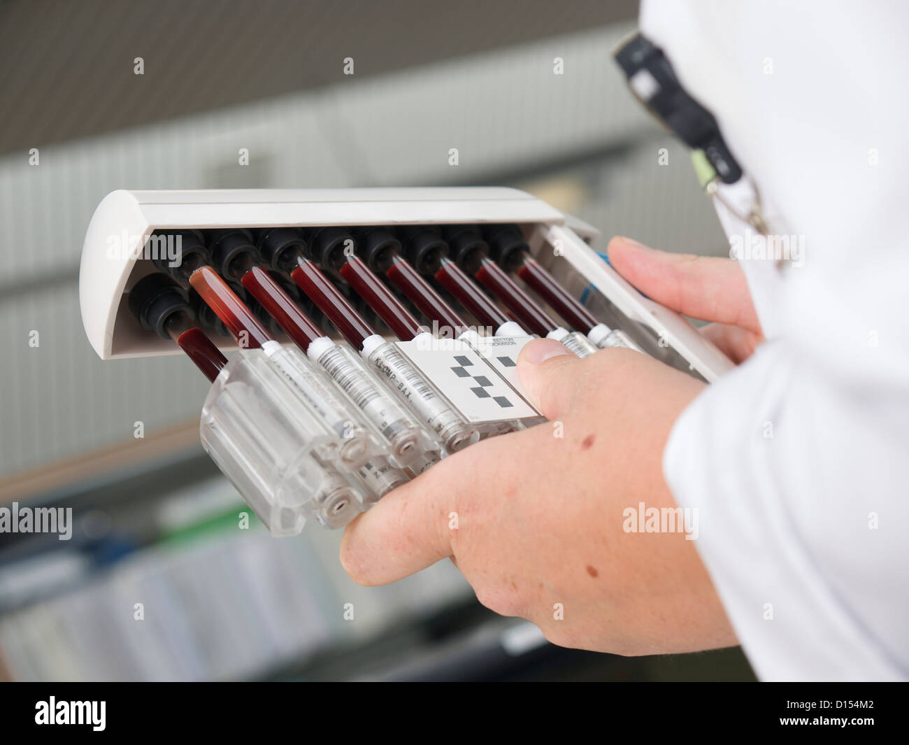 La manipolazione dei campioni di sangue in ospedale lab. Tilburg, Paesi Bassi Foto Stock