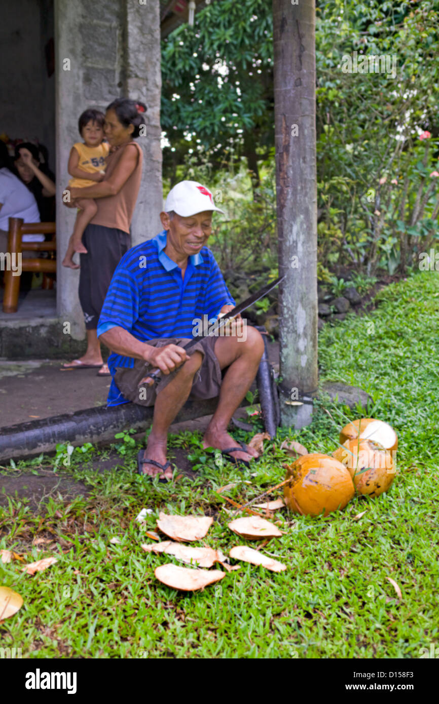 Uomo filippino utilizzando machete per tagliare aprire Noci di cocco Foto Stock