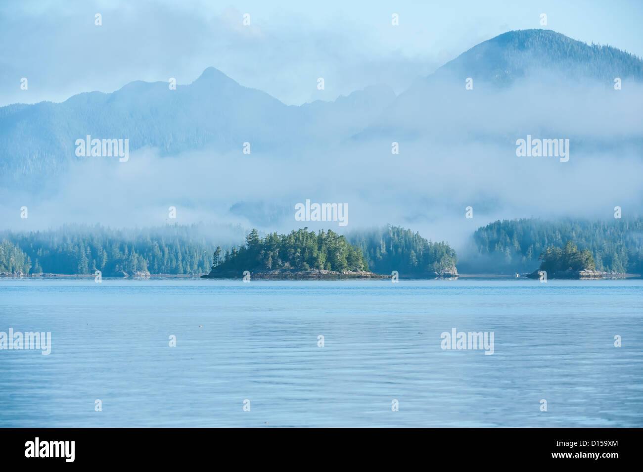 Tofino a Clayoquot Sound, Isola di Vancouver, British Columbia, Canada. Foto Stock