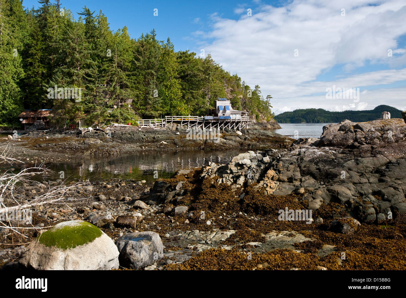 Orca Lab, situato in Hanson Island, British Columbia, è il mio personale gli scienziati che si occupano di monitorare i mammiferi marini in British Columbia Foto Stock