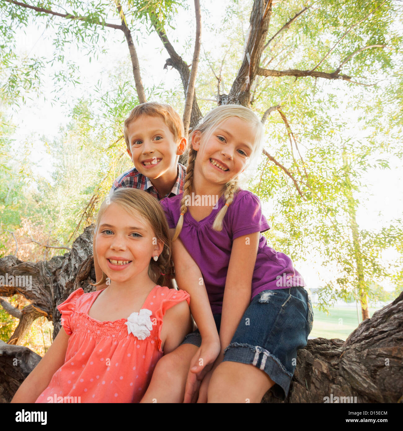 Stati Uniti d'America, Utah, Lehi, tre bambini (4-5, 6-7) sorridere per ritratto nel grande albero Foto Stock