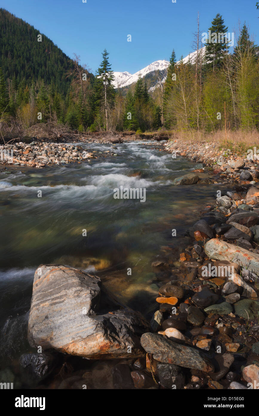 Stati Uniti d'America, Oregon, Wallowa County, Mountain Creek Foto Stock