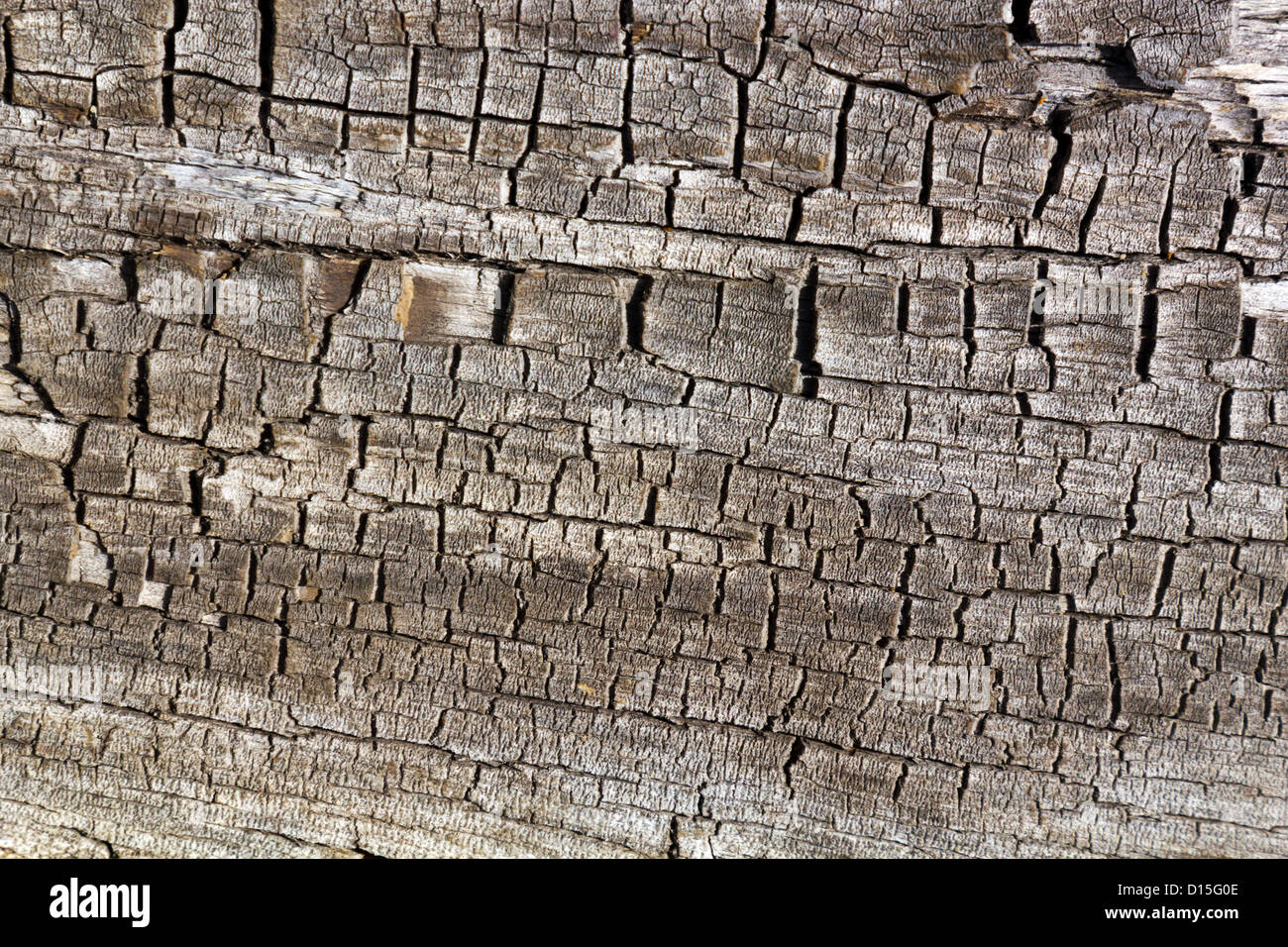 Incrinato in legno antico organico di sfondo pattern texture Foto Stock