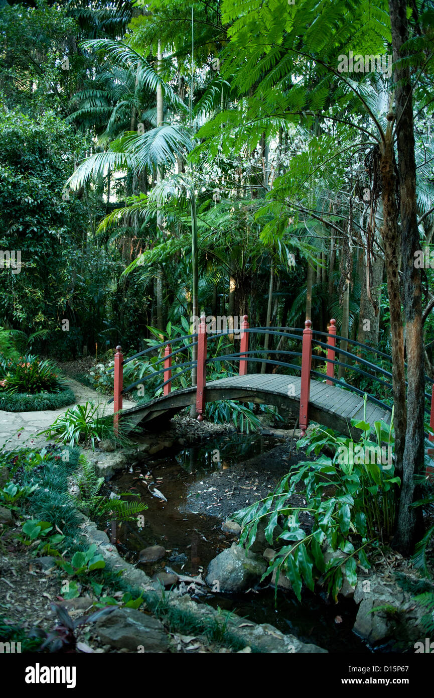 Giardino giapponese nel Monte Tamborine Botanic Gardens, Queensland, Australia Foto Stock