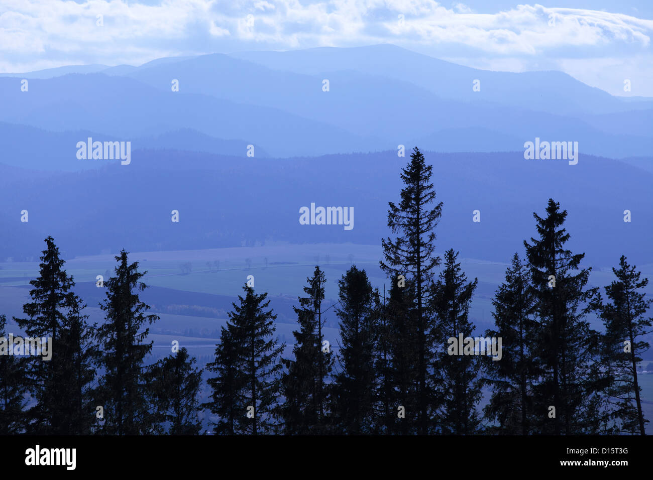 Sagome di alberi di pino nelle montagne Tatra regione della Slovacchia Foto Stock
