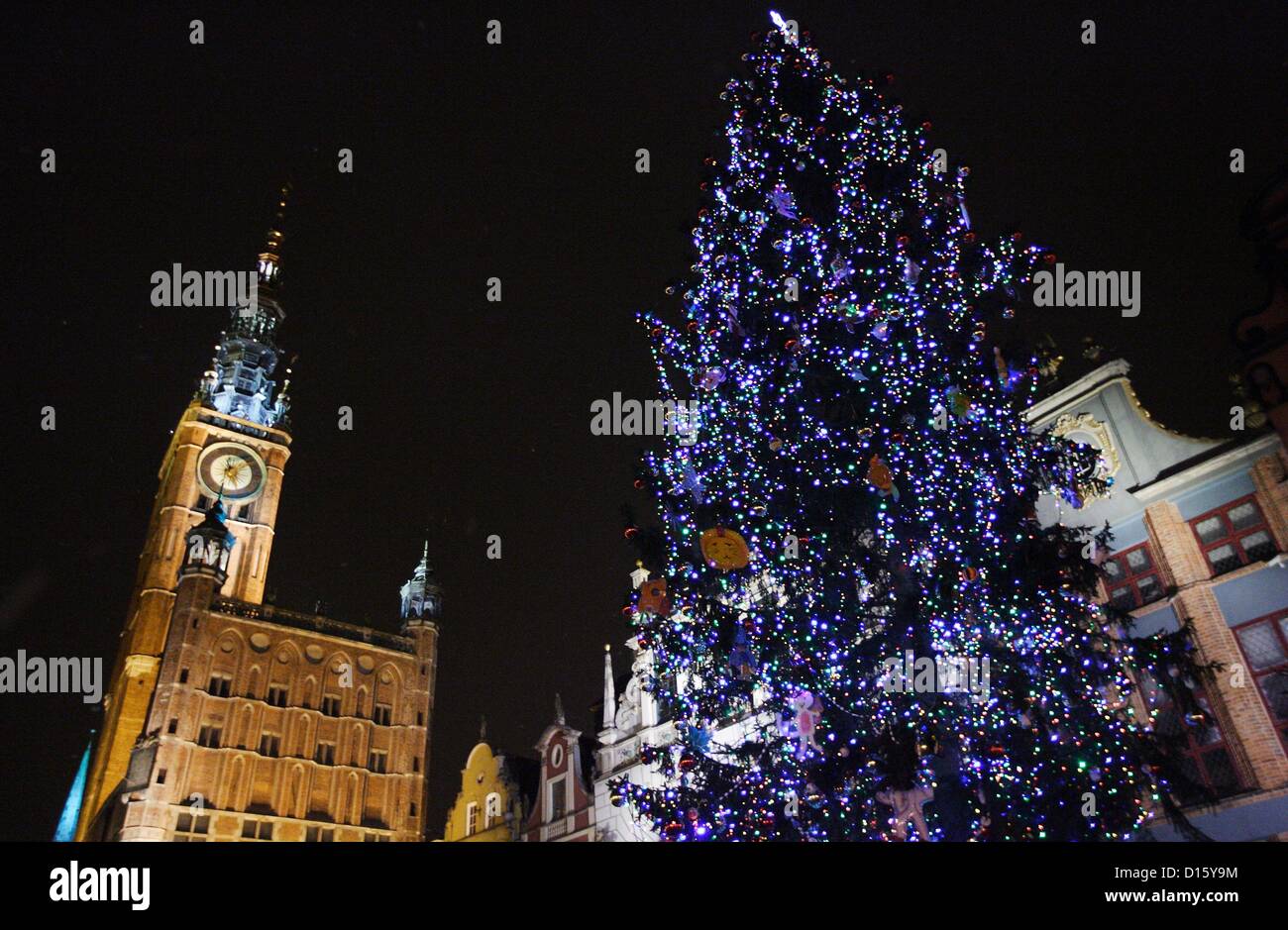 Gdansk, Polonia 8th, dicembre 2012 il più alto albero di Natale in Polonia  si erge a Danzica Centro citta'. Albero di natale è di oltre 28 metri di  altezza e dispone di