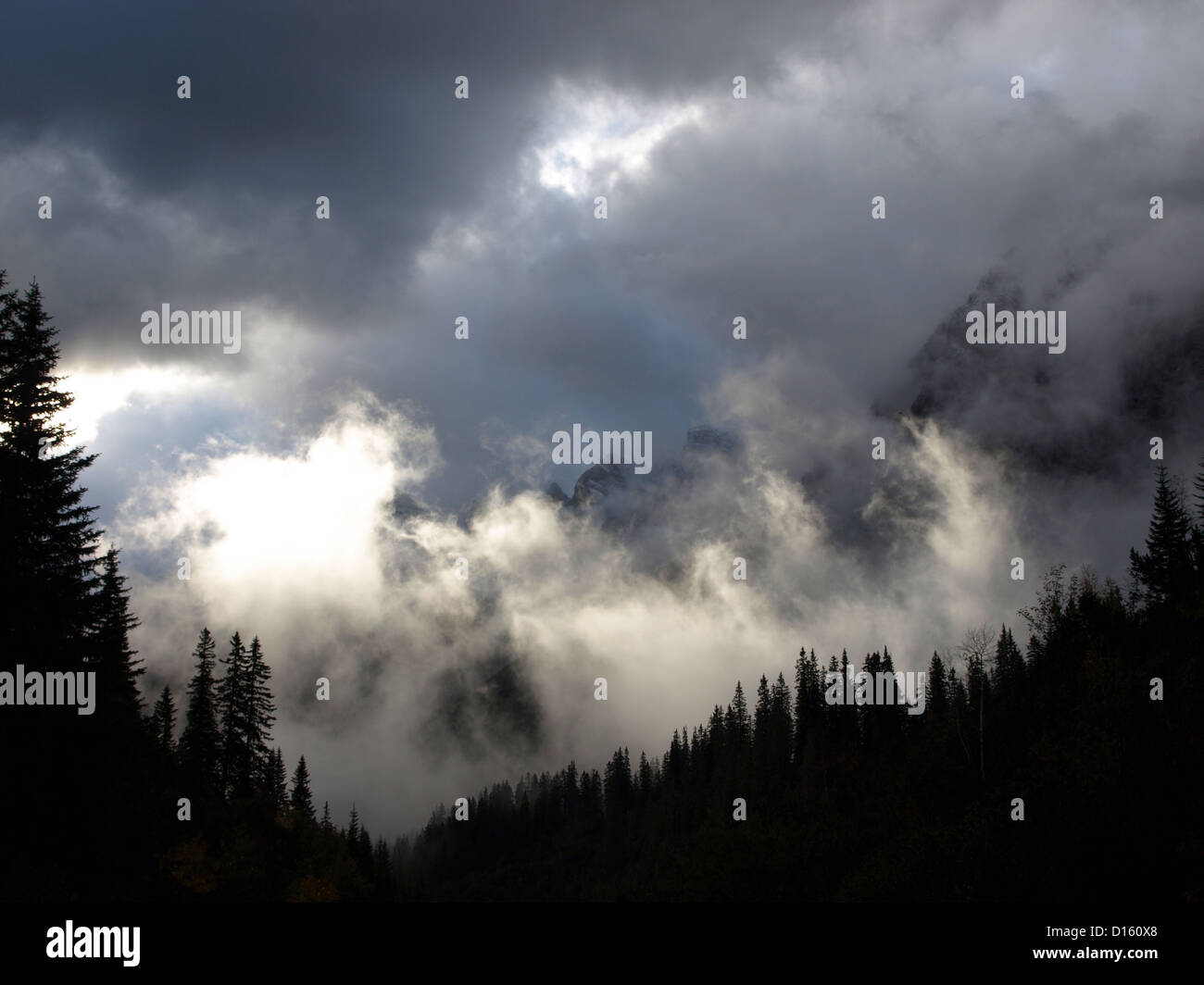 Silhouette di alberi in montagna Karwendel Foto Stock