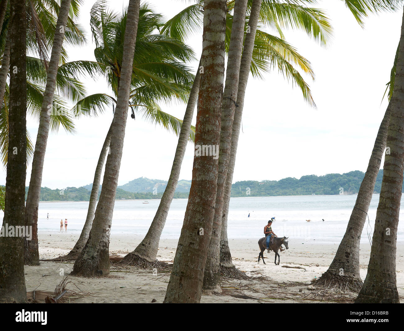 Cavallo con rider sulla spiaggia di Playa Samara; Nicoya peninsula; Costa Rica; America Centrale Foto Stock