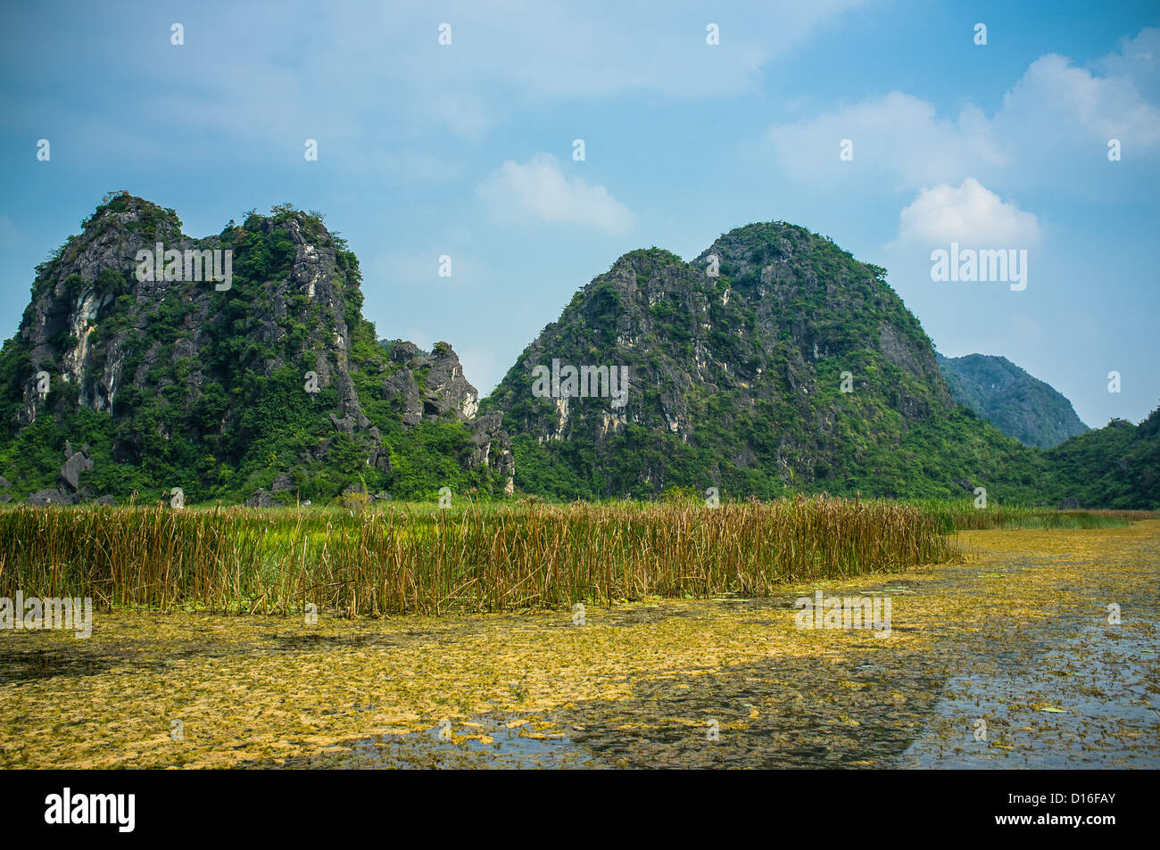 Il kart di calcare presi in Kenh Ga vicino a Ninh Binh nel Vietnam del Sud-est asiatico Foto Stock