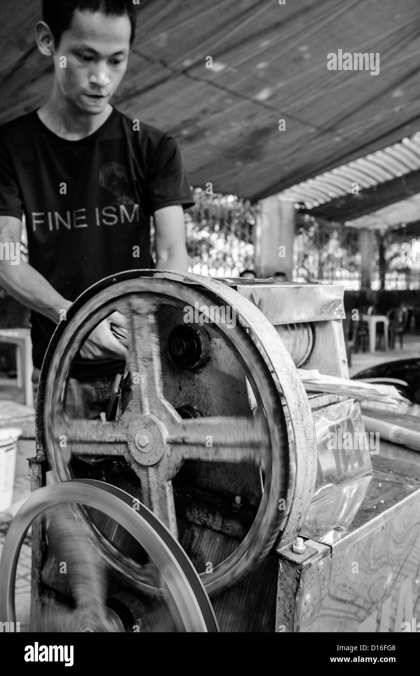 Giovane maschio vietnamita mettendo la canna da zucchero attraverso una pressa meccanica rilasciando il dolce liquido come una strada bevanda rinfrescante Foto Stock