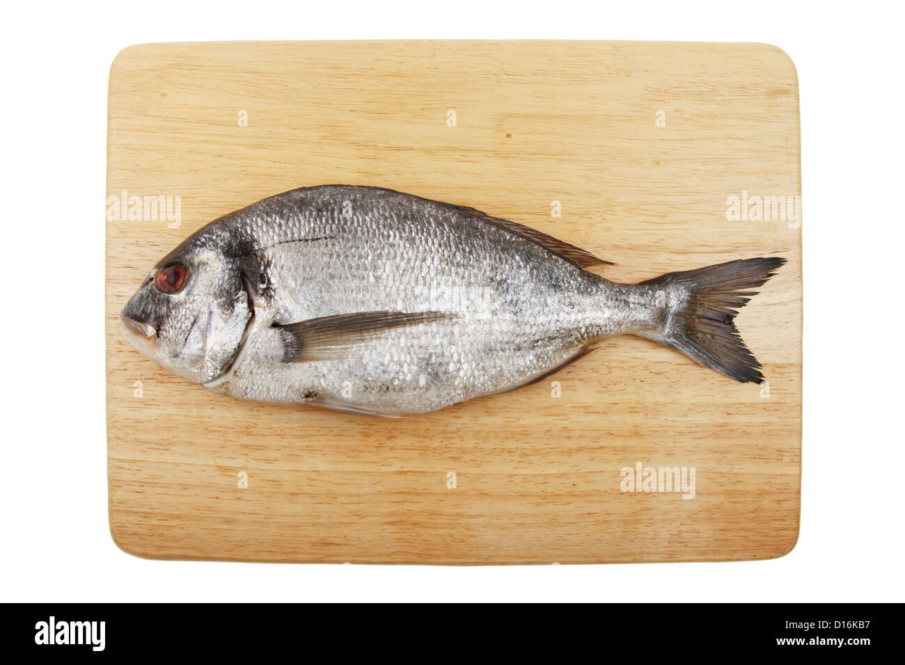 Tutto Orate di mare Pesce su una tavola di legno preparazione alimentare board isolata contro bianco Foto Stock