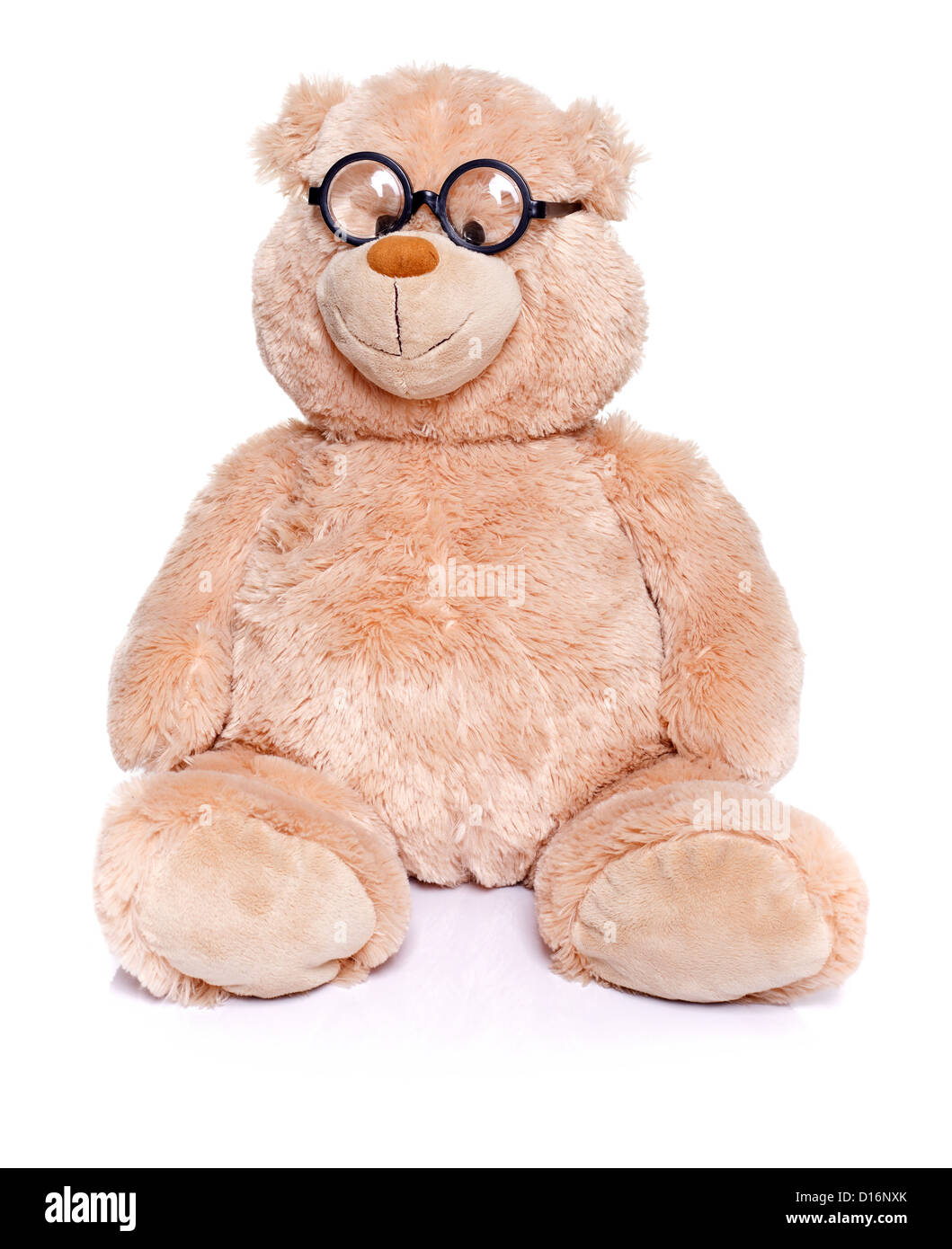 Smart orsacchiotto di peluche che indossa gli occhiali, sfondo bianco Foto Stock
