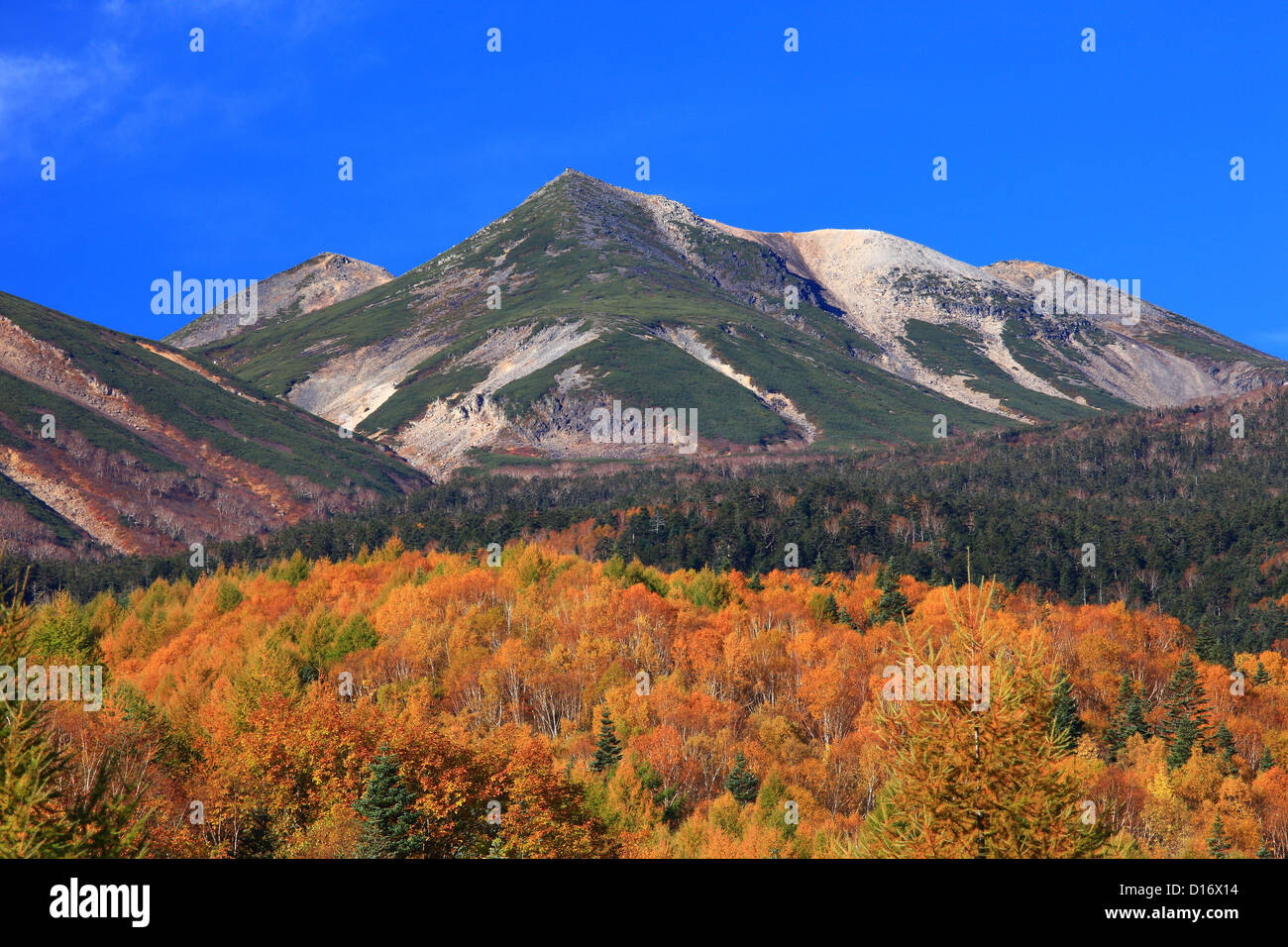 Foglie di autunno e il Monte Norikura a Matsumoto, Prefettura di Nagano Foto Stock