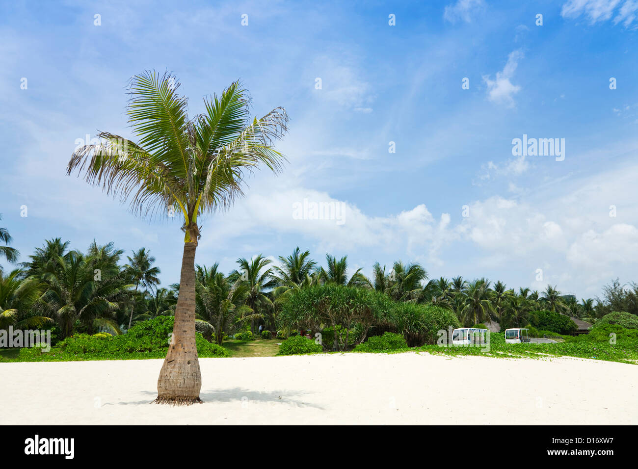 Le palme, sabbia bianca e automobilistico turistico Foto Stock