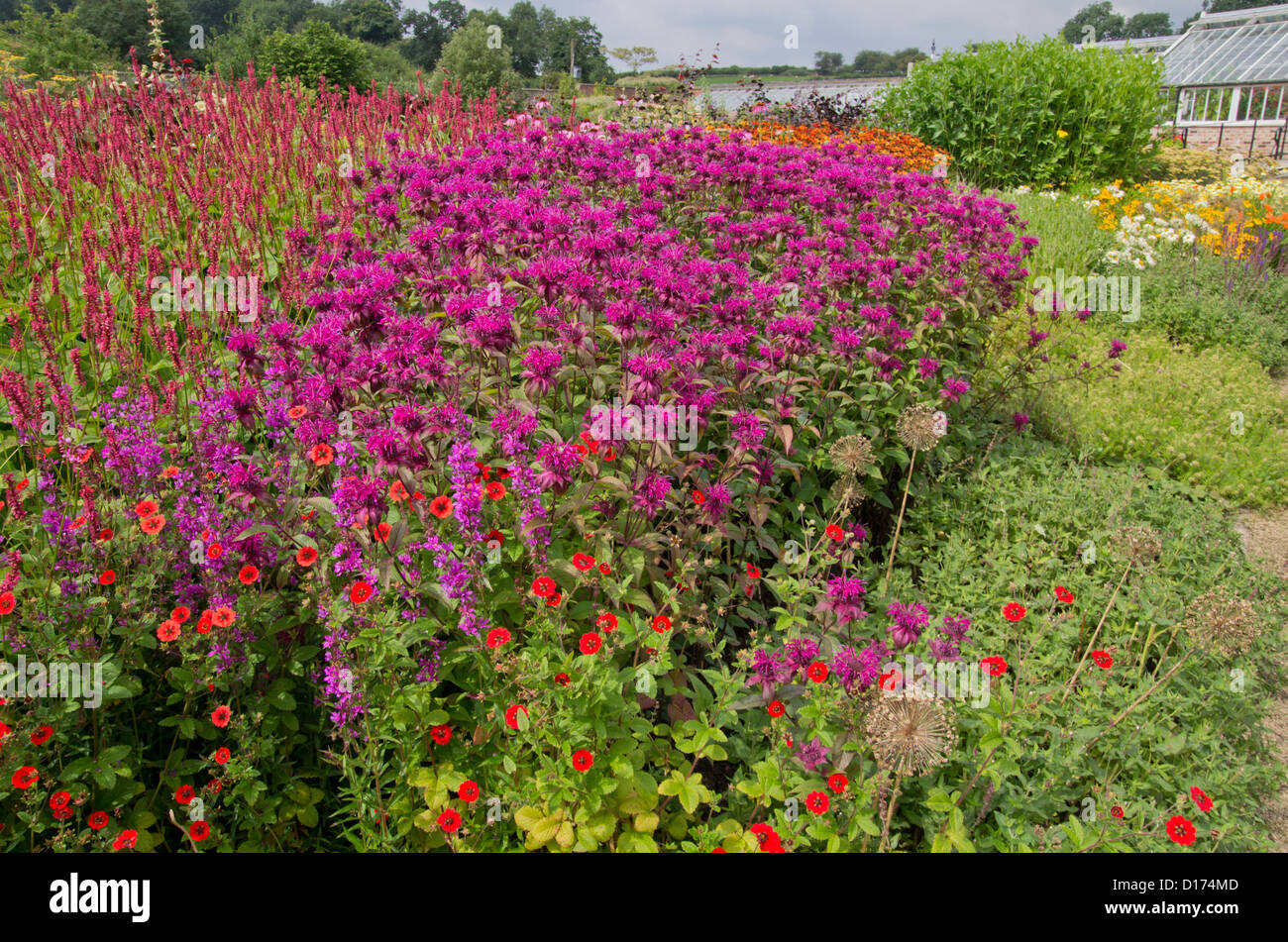 Helmsley Walled Garden Foto Stock