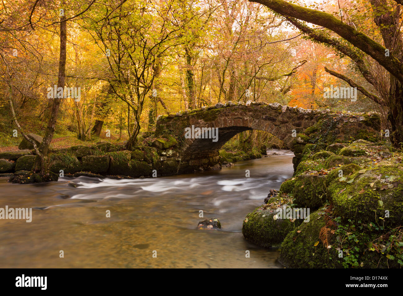Bovey sul fiume che scorre sotto il ponte Hisley nell'autunno del Parco Nazionale di Dartmoor Devon UK Foto Stock