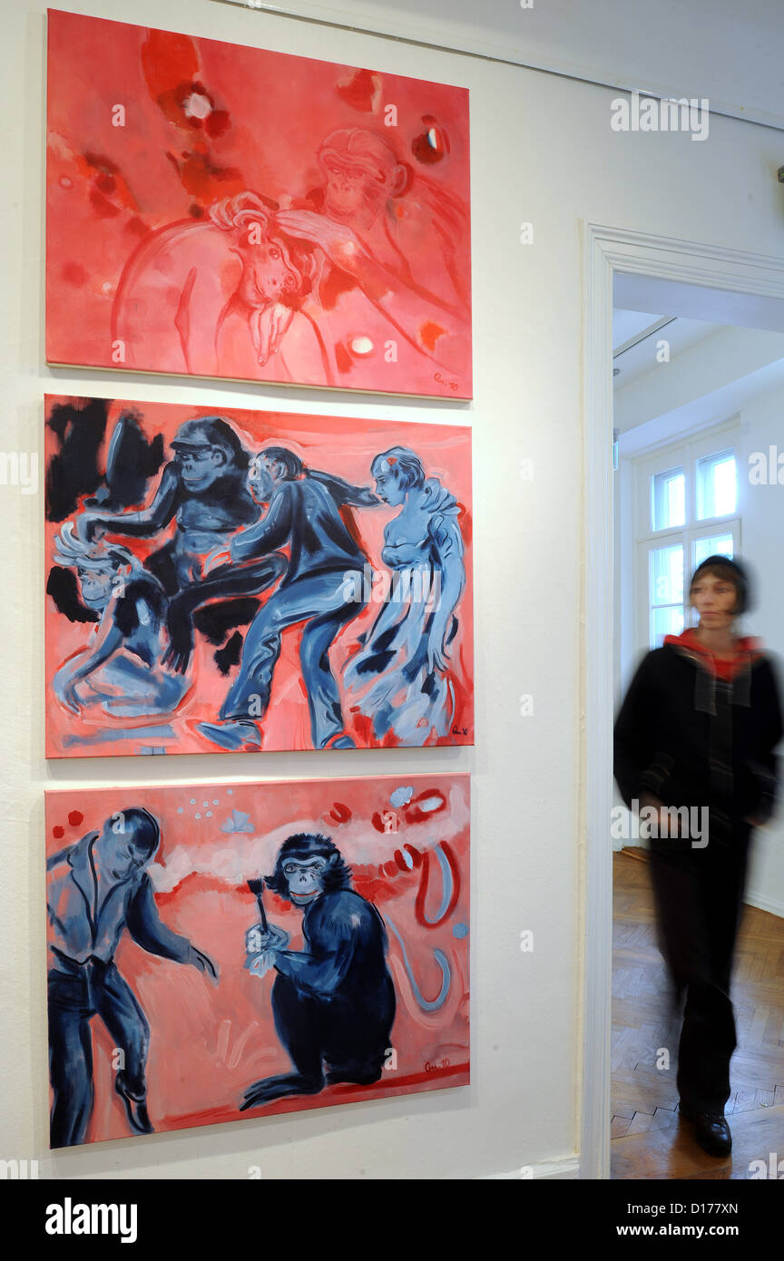 Un museo passeggiate dipendente passato tre dipinti ad olio dalla serie 'Monkey Theatre, 2010' da Barbara Quandt presso il Museo 'Syker Vorwerk' in Syke, Germania, 07 dicembre 2012. I dipinti sono parte della mostra speciale 'artistico opinioni su animali" che può essere visto dal 09 dicembre 2012 fino al 17 marzo 2013. Foto: Ingo Wagner Foto Stock