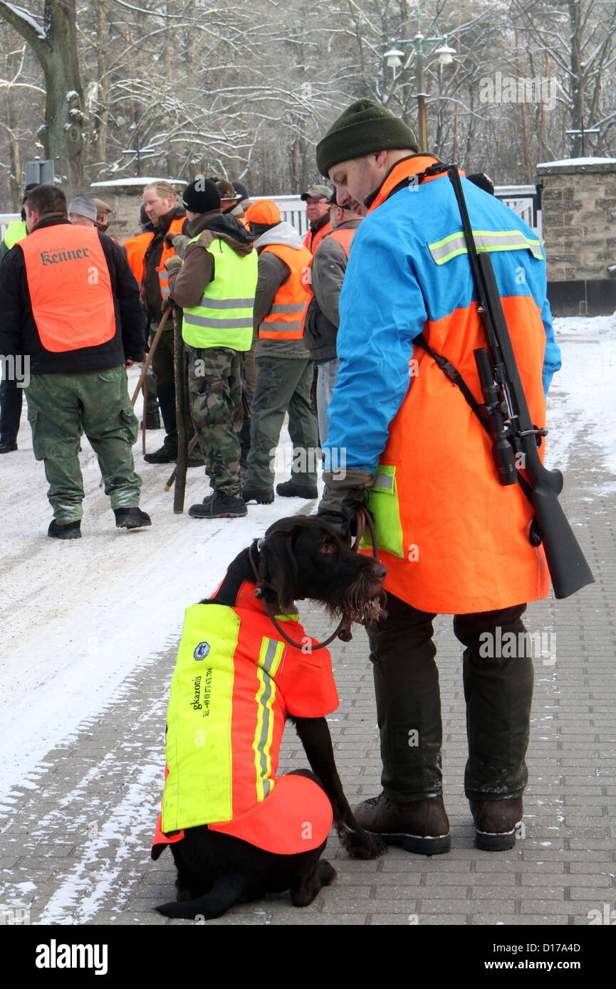 Cacciatori prepararsi a sud ovest cimitero di Stahnsdorf vicino a Potsdam, Germania, 08 dicembre 2012. Questi animali erano di danneggiare il cimitero pertanto la caccia ha avuto luogo. Foto: NESTOR BACHMANN Foto Stock