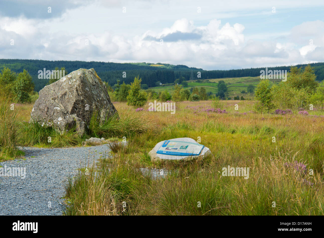 Bruce della pietra, Clatteringshaws Loch, Dumfries and Galloway, Scotland Regno Unito Foto Stock