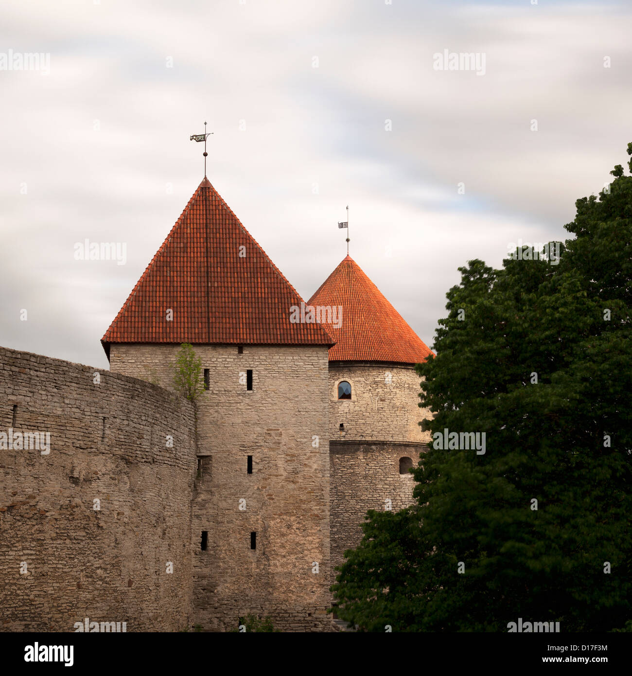 Mura medievali della città con struttura ad albero Foto Stock