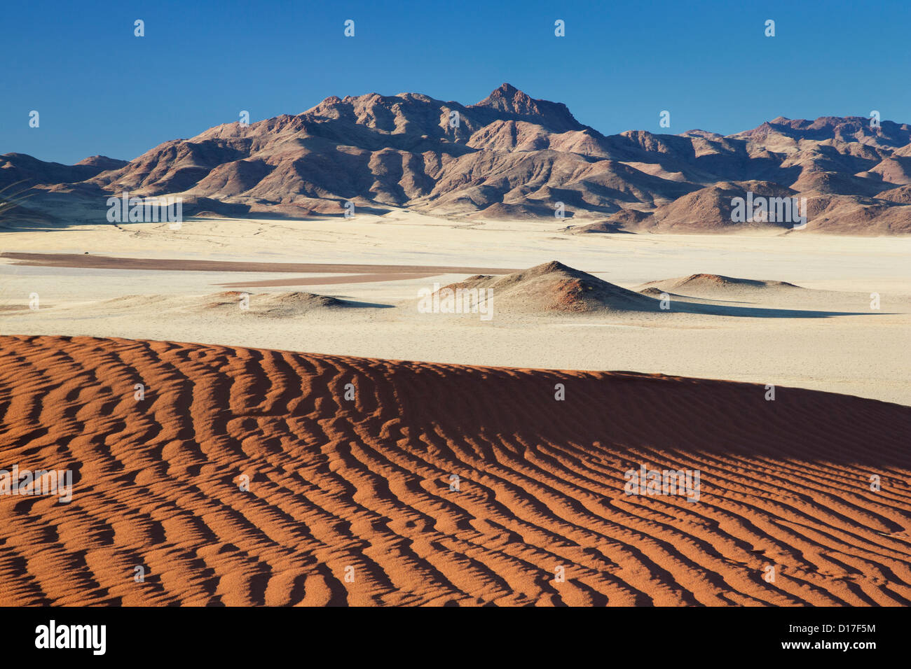 Il paesaggio del deserto in riserva Namib-Rand in Namibia Foto Stock