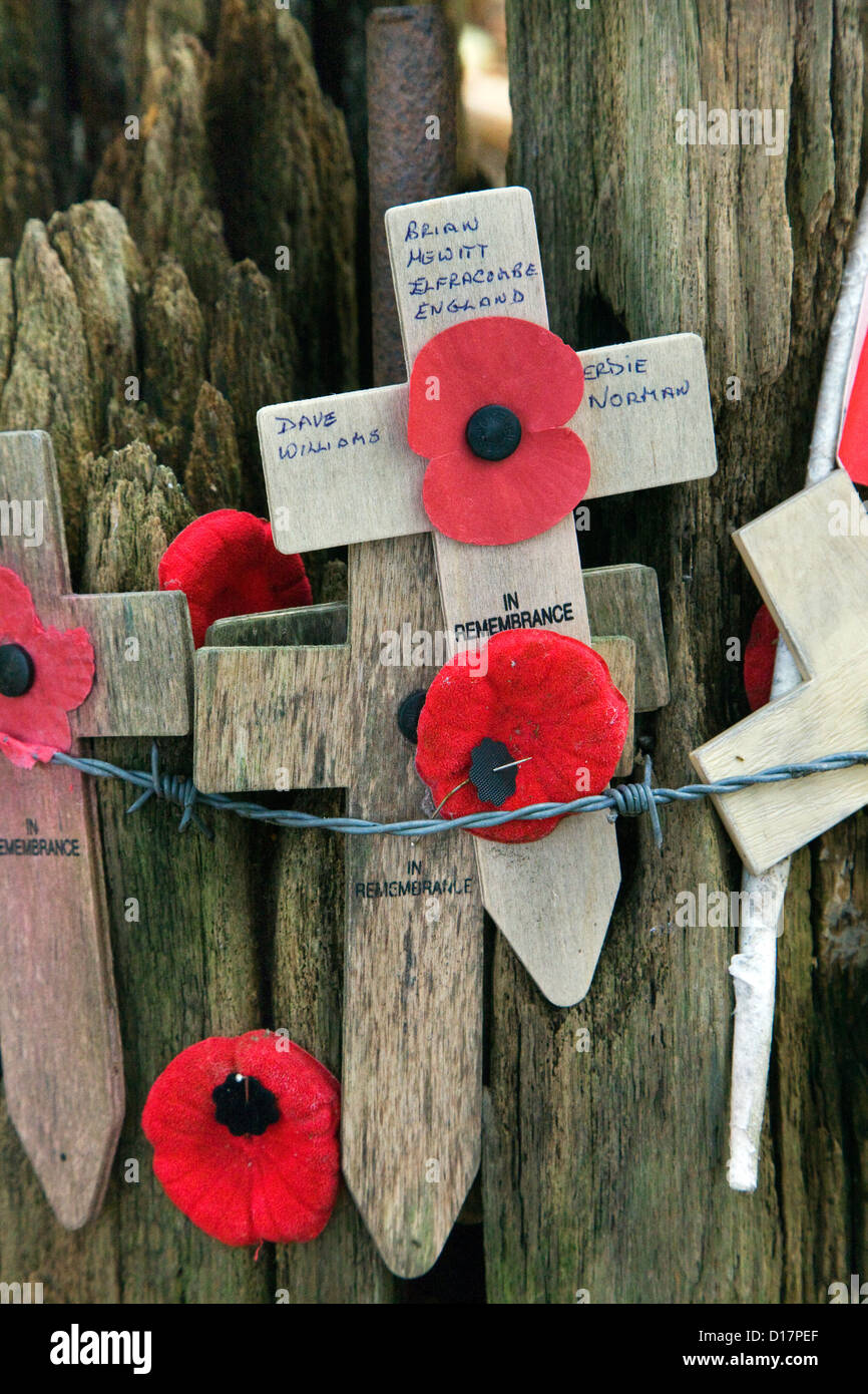 Guscio originario-eiettato ad albero e WW1 attraversa con papaveri sul santuario Museo del Legno Hill 62 alla Zillebeke, Fiandre Occidentali, Belgio Foto Stock