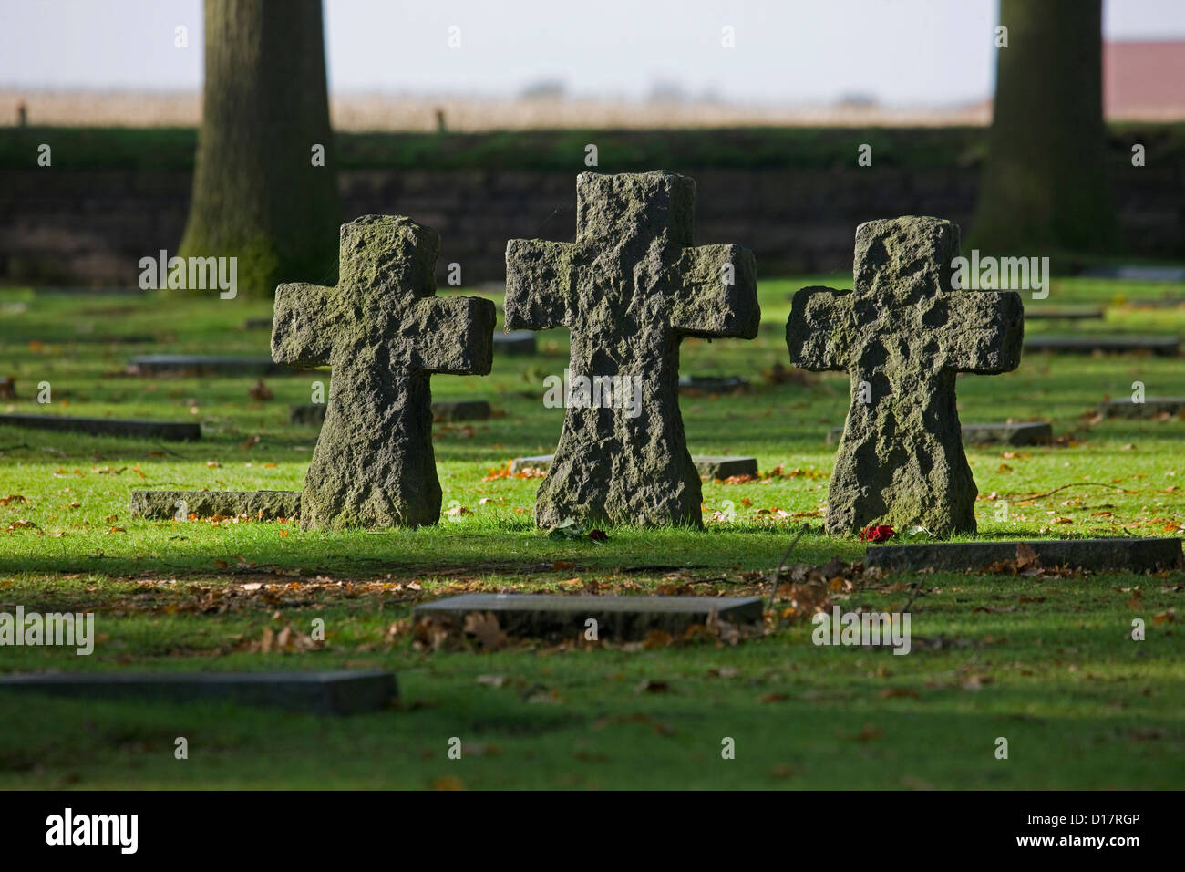 Il WW1 Soldatenfriedhof / Studentenfriedhof, tedesco Prima guerra mondiale un cimitero di Langemark, Fiandre Occidentali, Belgio Foto Stock