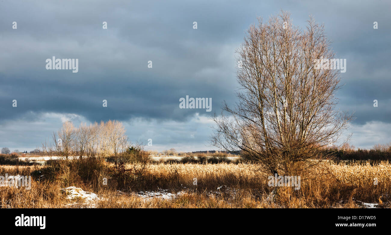 Il pupazzo di neve sul campo di Funen, Danimarca Foto Stock